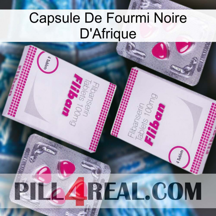 Africa Black Ant Capsule 33